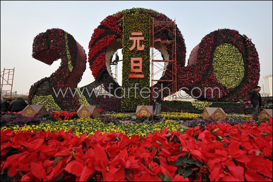 2010:  العالم يودع عاما ويستقبل عاما جديدا  صورة رقم 1