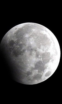 شاهدوا كيف استقبل العالم عام 2010!!!   صورة رقم 1