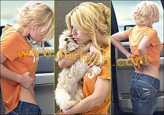 جيسيكا سيمبسون محطمة بسبب خطف كلبها صورة رقم 9 جيسيكا سيمبسون محطمة بسبب خطف كلبها صورة رقم 9