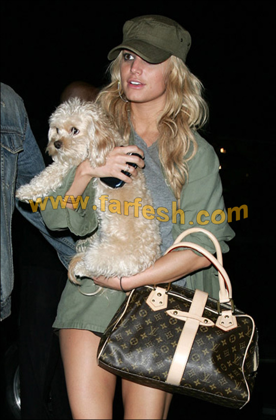 جيسيكا سيمبسون محطمة بسبب خطف كلبها صورة رقم 7 جيسيكا سيمبسون محطمة بسبب خطف كلبها صورة رقم 7