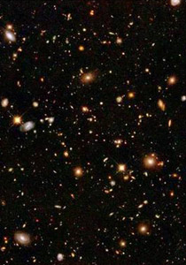 مسلسلات اون لاين ينقل لكم توقعات ماغي فرح للعام الجديد صورة رقم 6