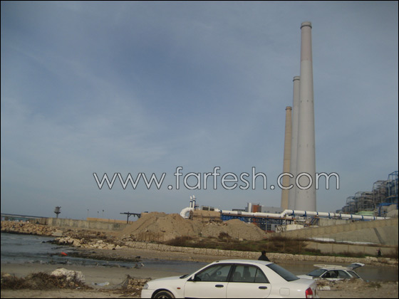 القرش ما زال يحتل شواطئ الخضيرة  صورة رقم 4