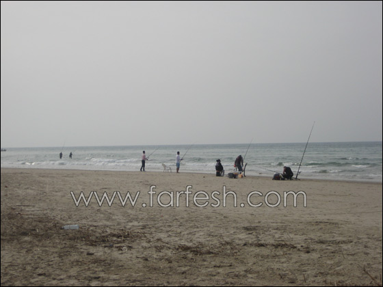 القرش ما زال يحتل شواطئ الخضيرة  صورة رقم 5