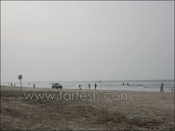 القرش ما زال يحتل شواطئ الخضيرة  صورة رقم 7