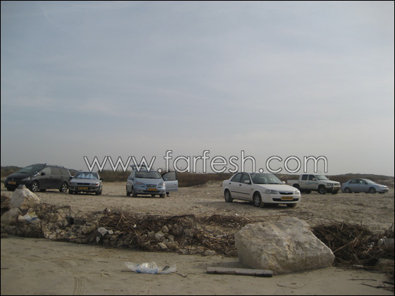 القرش ما زال يحتل شواطئ الخضيرة  صورة رقم 10