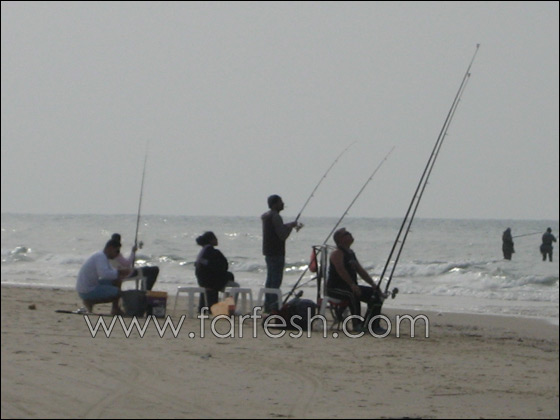 القرش ما زال يحتل شواطئ الخضيرة  صورة رقم 9