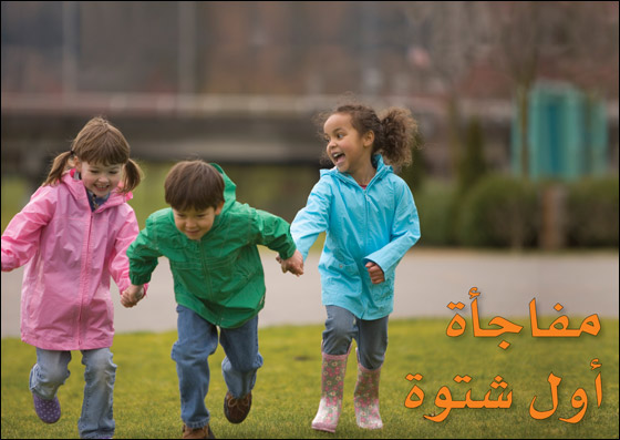 انترنت بيتي لمدة سنة هدية! صورة رقم 1