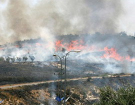 بعد فتوى الحاخام: رصاص وحرق في قرية عنابوس قرب نابلس صورة رقم 1