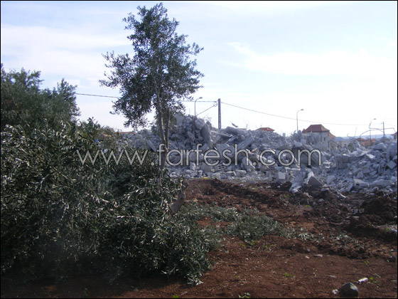 رئيس مجلس جلبوع : سنبني البيوت التي هدمت  صورة رقم 9