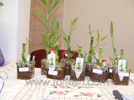 بازار خيري تخليدًا لذكرى المدرب اسعد بضعان  صورة رقم 3