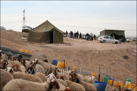 المجلس الإقليمي يبني خياما لسكان قرية طويل أبو جرول صورة رقم 12