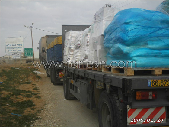 35 مليون شاقل حجم مساعدات الإغاثة الاسلامية لقطاع غزة        صورة رقم 7