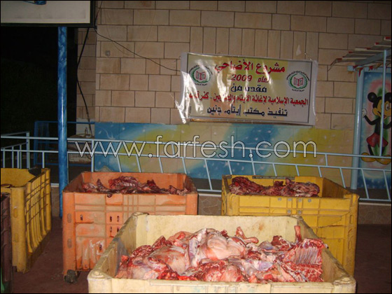 35 مليون شاقل حجم مساعدات الإغاثة الاسلامية لقطاع غزة        صورة رقم 10