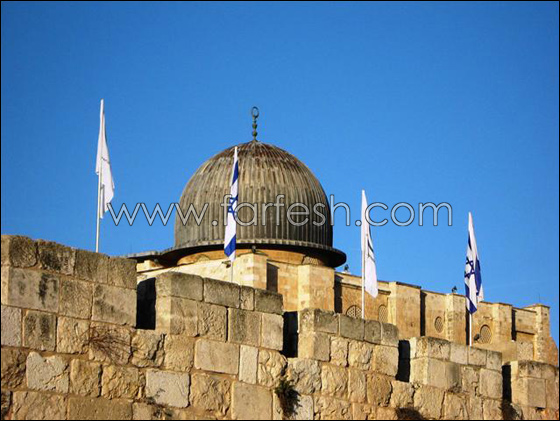 الأعلام الإسرائيلية على أعتاب المسجد الأقصى  صورة رقم 2