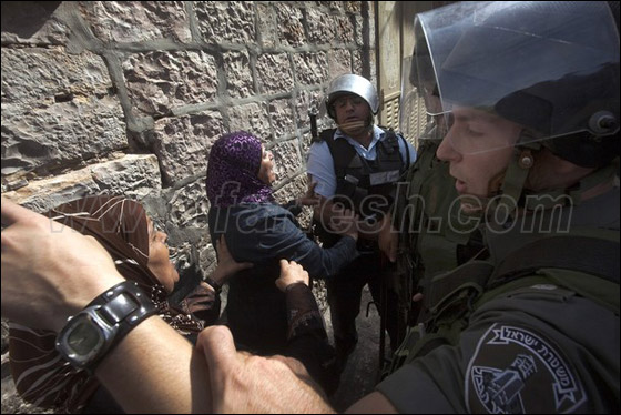 صور من المواجهات وحصار المصلين بالأقصى صورة رقم 8