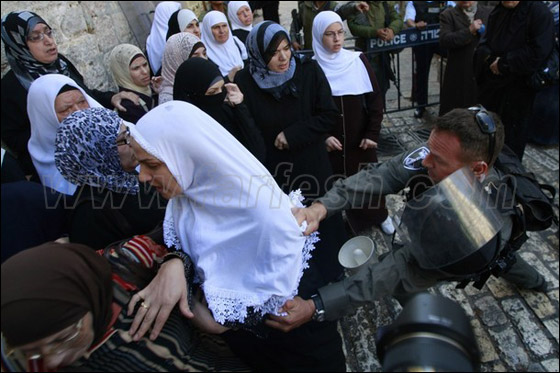 صور من المواجهات وحصار المصلين بالأقصى صورة رقم 10