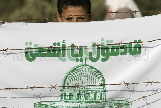 صور من المواجهات وحصار المصلين بالأقصى صورة رقم 39