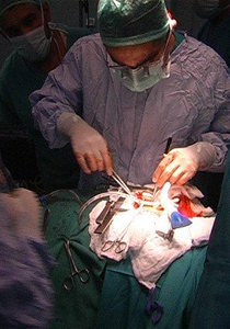 الإسبان يجرون عمليّة زرع.. الأولى من نوعها في العالم!!        صورة رقم 1