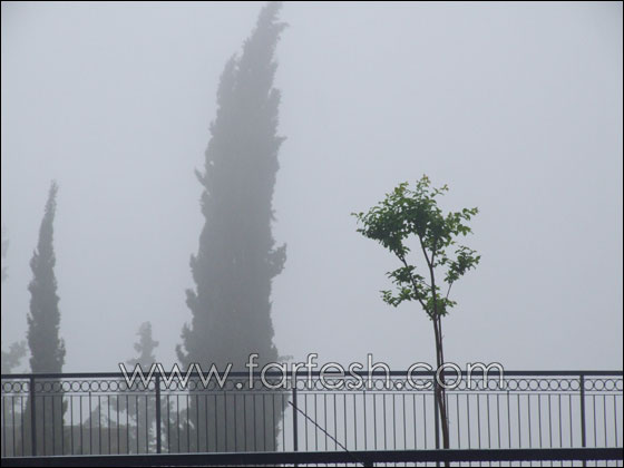 فيضانات وغرق بيوت وشوارع وثلوج في جبل الشيخ  صورة رقم 2