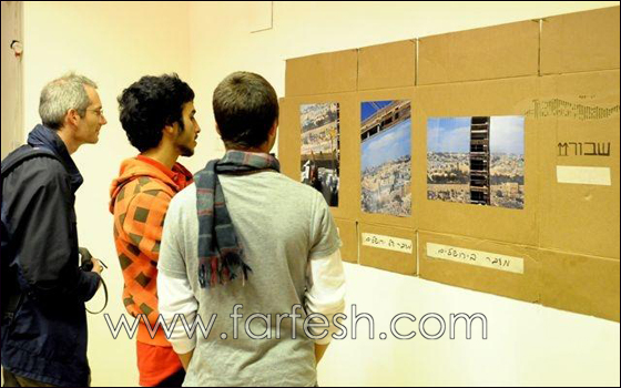 شارع مسادة في حيفا- شارع افنون صورة رقم 5