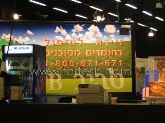 مدارس من الناصرة تفوز بشهادة تأهيل المدرسة الخضراء 2009  صورة رقم 7