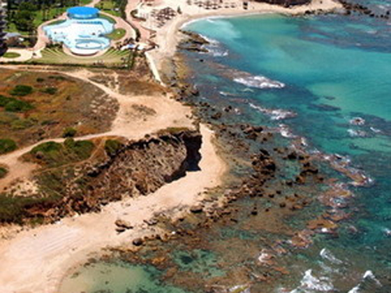 اسماك القرش على شواطئ الأولجا  صورة رقم 2