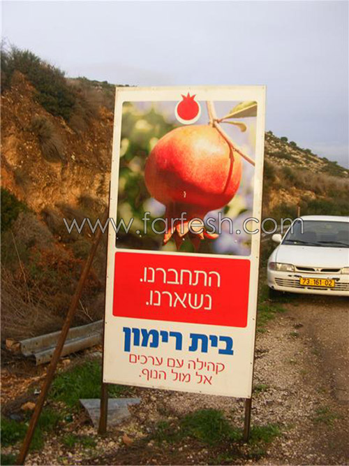 مستوطنة بيت ريمون تسرق رمان كفركنا صورة رقم 3