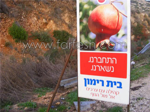 مستوطنة بيت ريمون تسرق رمان كفركنا صورة رقم 2