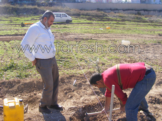 للمرة الرابعة: زرع الزيتون بدل الاشجار التي قلعتها جرافات نتسيرت عيليت والمنهال  صورة رقم 6