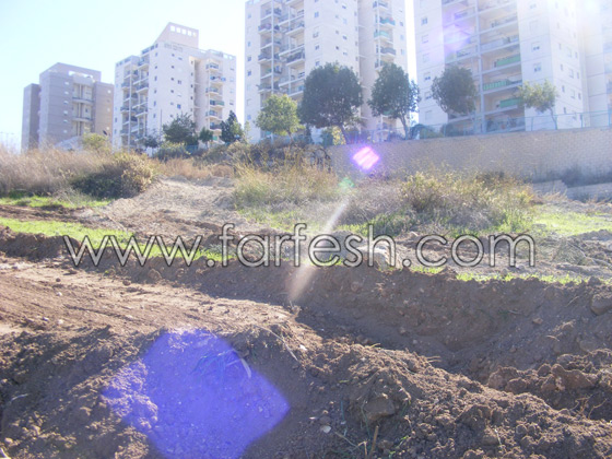 للمرة الرابعة: زرع الزيتون بدل الاشجار التي قلعتها جرافات نتسيرت عيليت والمنهال  صورة رقم 10