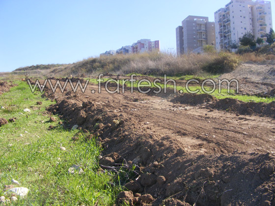 للمرة الرابعة: زرع الزيتون بدل الاشجار التي قلعتها جرافات نتسيرت عيليت والمنهال  صورة رقم 19