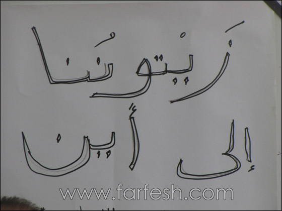 المزارعون العرب يتحملون مسؤولية الزيت الرديء  صورة رقم 11