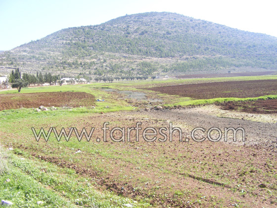 البعوض حتى في البرد القارص  صورة رقم 5