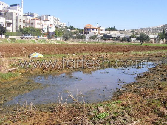 البعوض حتى في البرد القارص  صورة رقم 6