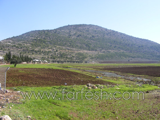 البعوض حتى في البرد القارص  صورة رقم 8