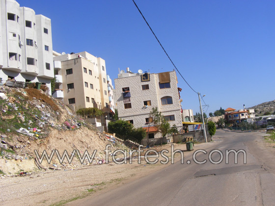 البعوض حتى في البرد القارص  صورة رقم 3