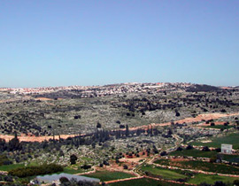 بمساعدة الجيش: مستوطن يستولي على اراضي خاصة صورة رقم 1