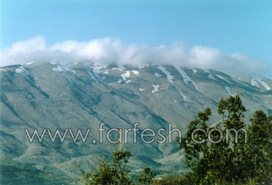 استمرار الطقس البارد وتوقع هطول الثلوج في جبل الشيخ صورة رقم 2