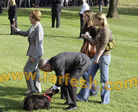 بعد 9 أشهر من الغياب.. بوش: غائط كلبي غير حياتي!!!  صورة رقم 10