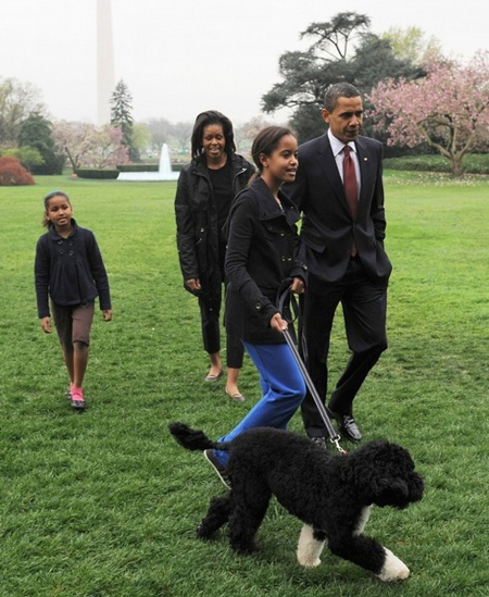 ميكي.. كلب اوباما الإسرائيلي لا يفهم سوى اللغة العبرية!!!  صورة رقم 3