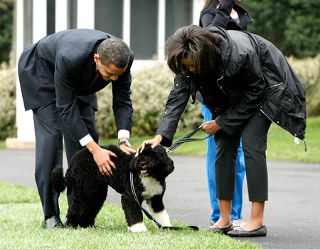 ميكي.. كلب اوباما الإسرائيلي لا يفهم سوى اللغة العبرية!!!  صورة رقم 2