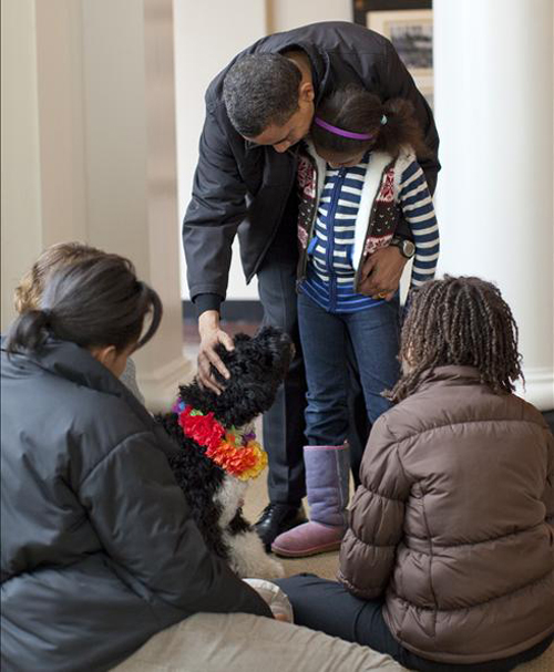 ميكي.. كلب اوباما الإسرائيلي لا يفهم سوى اللغة العبرية!!!  صورة رقم 6