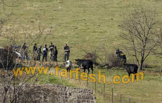 طائفة تمارس الرذيلة مع الحيوانات والآباء يغتصبون ابناءهم!!! صورة رقم 10 طائفة تمارس الرذيلة مع الحيوانات والآباء يغتصبون ابناءهم!!! صورة رقم 10