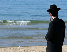 فتوى يهودية تبيح سرقة محاصيل وتسميم آبار الفلسطينيين صورة رقم 1 فتوى يهودية تبيح سرقة محاصيل وتسميم آبار الفلسطينيين صورة رقم 1