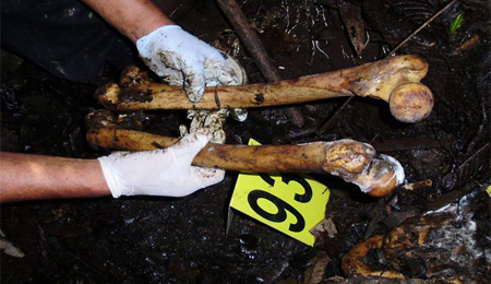 إلقاء القبض على عصابة تقتل العشرات للاتجار بدهونهم        صورة رقم 2