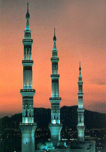 استفتاء منع بناء المآذن في فرنسا هدفه الحصول على مكاسب انتخابية  صورة رقم 1