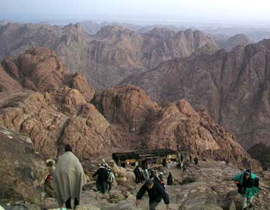 اسرائيل تنوي 