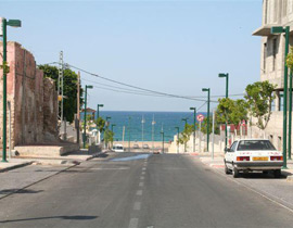 المطالبة باطلاق اسم الشيخ بسام أبو زيد على شارع في يافا صورة رقم 1