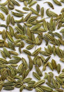 في غزة: اليانسون يقاوم أنفلونزا الخنازير صورة رقم 1