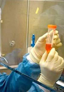 عالم مصري يفلح باختراع مواد تمنح الإنسان طاقة وقوة صورة رقم 1